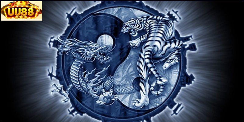 Giới Thiệu Về Bài Rồng Hổ